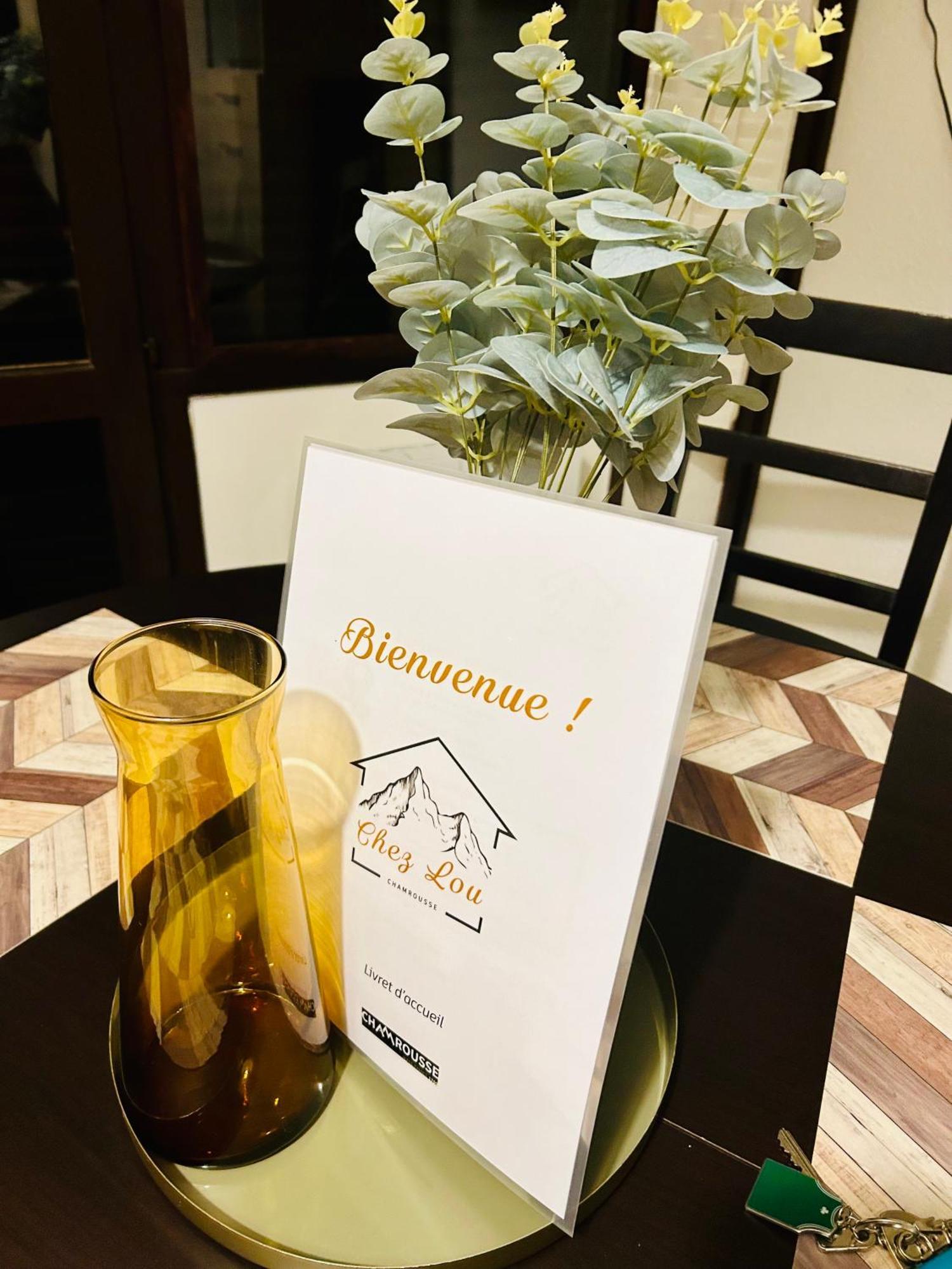 Lou Pied De Piste Apartment